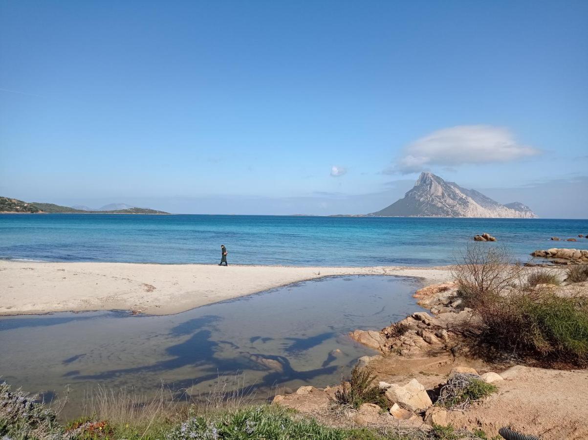 Вилла Trilocale A Un Km Dal Mare Vaccileddi Экстерьер фото